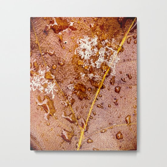 snow and water Metal Print