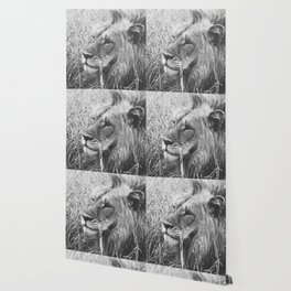South Africa Photography - Lion In Black And White Wallpaper