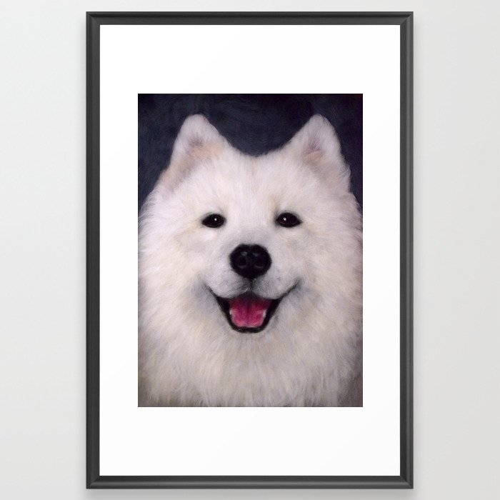 Cute Samoyed dog wool portrait Framed Art Print