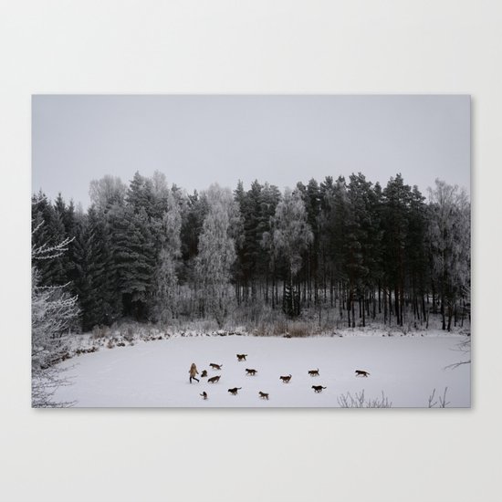 Winter's Tale Canvas Print