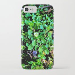 Chickweed iPhone Case