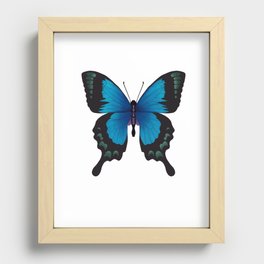 Blue Monarch Butterfly Recessed Framed Print