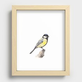 Great tit Recessed Framed Print