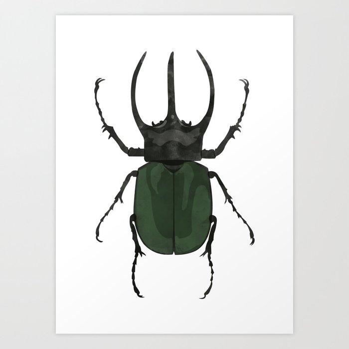Atlas Beetle Insect Digital Watercolor Art Print
