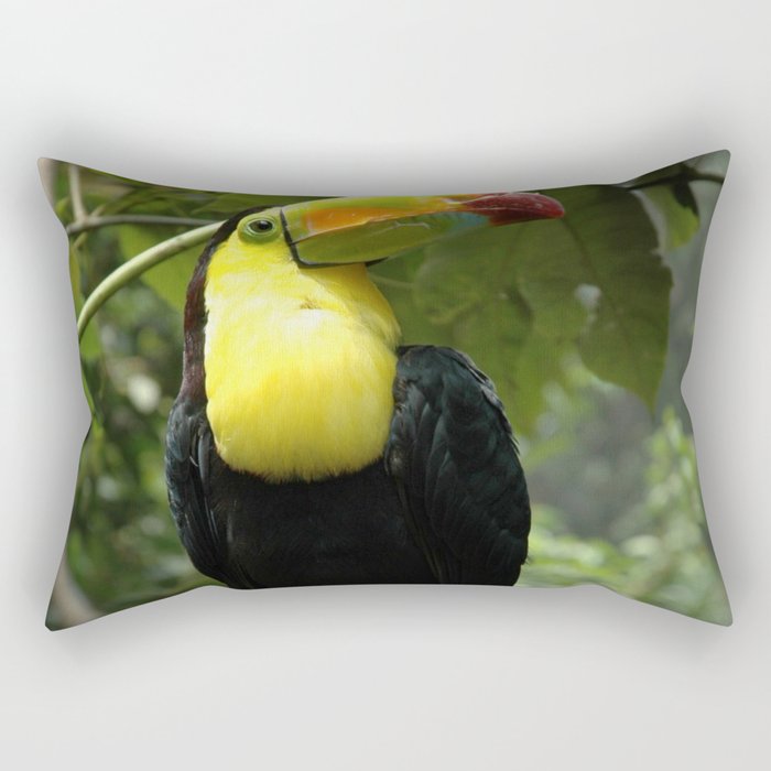 Mexico Photography - Beautiful Toucan On A Branch Rectangular Pillow