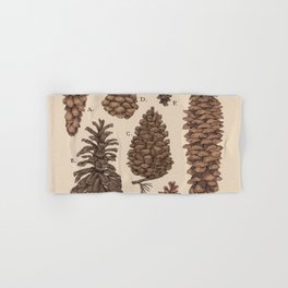 Pine Cone Hand Bath Towels For Any Bathroom Decor Society6