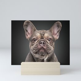 Drawing dog French Bulldog Mini Art Print