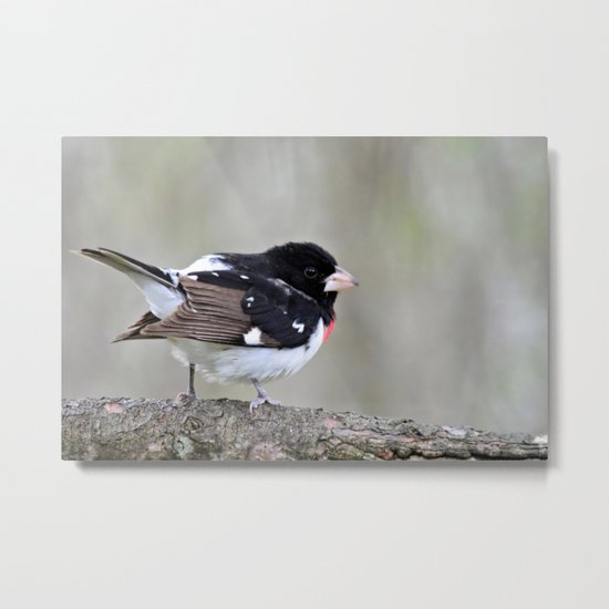 A Touch of Class Metal Print