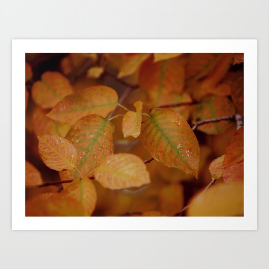 vibrance, fading Art Print