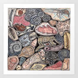 Fossils for history, dinosaur and archaeology lovers Art Print