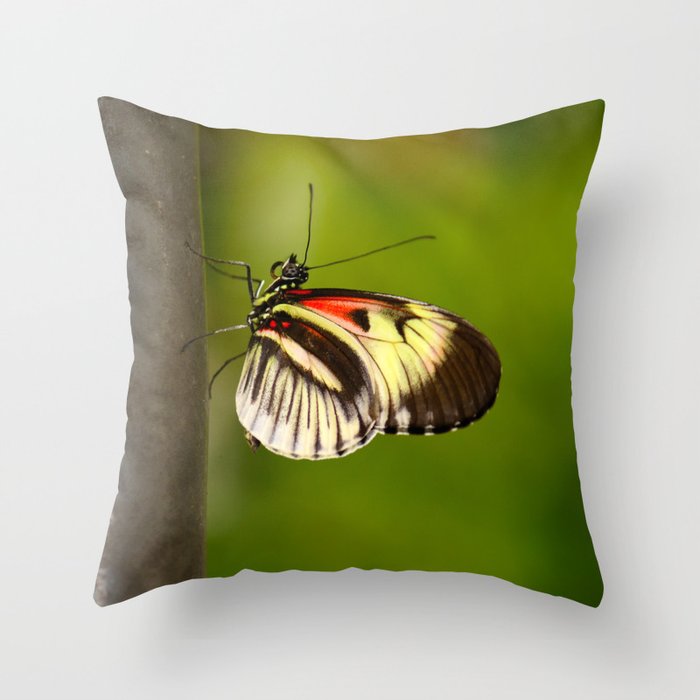 Piano Key Butterfly Throw Pillow