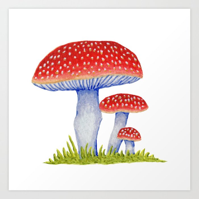 Woodland Toadstools Art Print by Isobel Woodcock Illustration | Society6