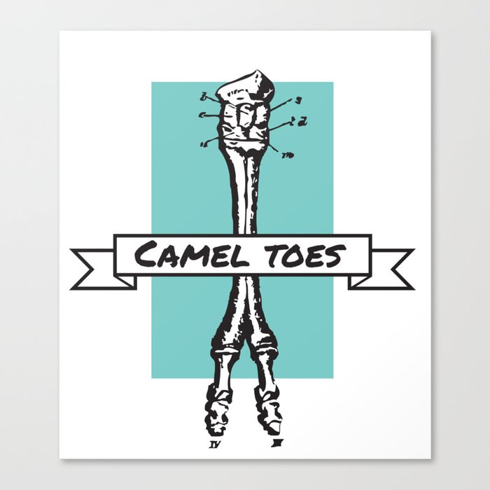 Camel Toess Canvas Print