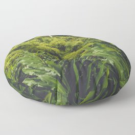 Jungle Waterfall II Floor Pillow