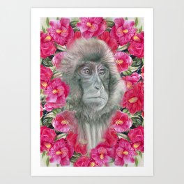  Monkey‘‘s Garden  Art Print