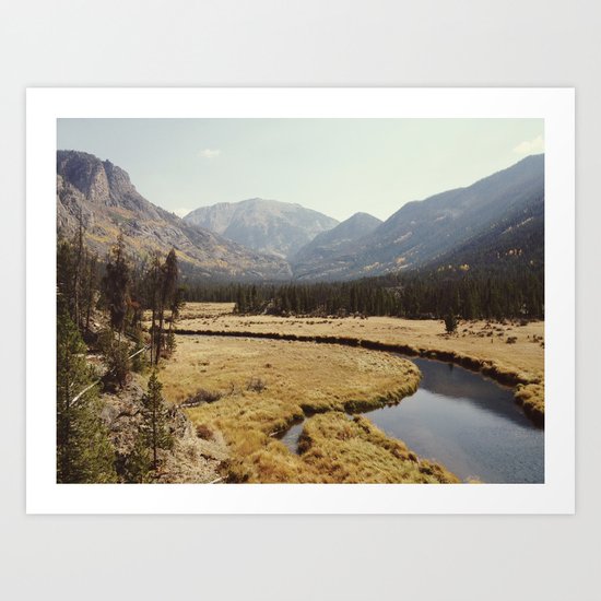 Rocky Mountain Meadow Art Print