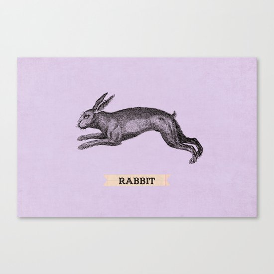 rabbit Canvas Print