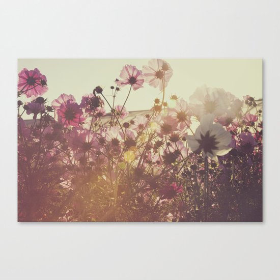 October Blooming 02 Canvas Print