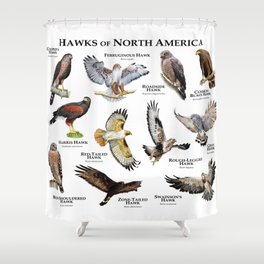 Hawks of North America Shower Curtain