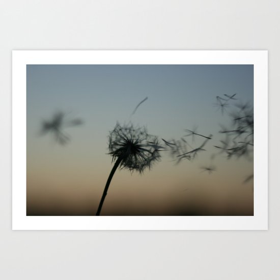 wishes on the wind Art Print