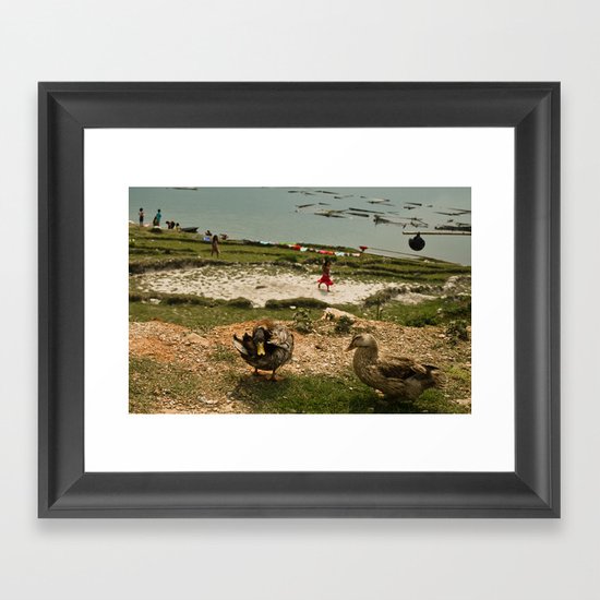 ducks Framed Art Print