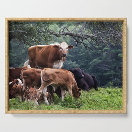 Cows Serving Tray