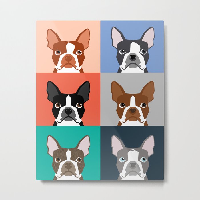 Talking deals boston terrier