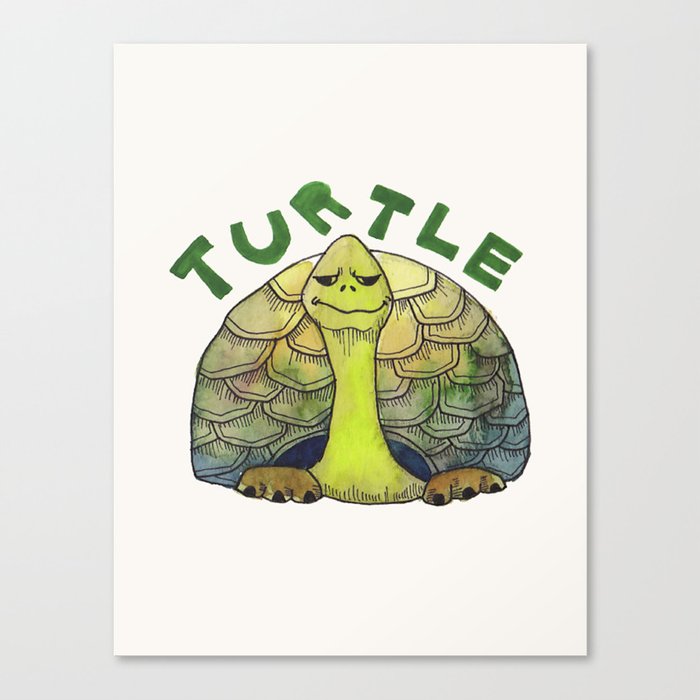 Turtle Canvas Print