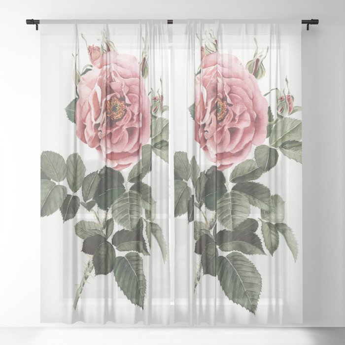 Dusty English Red Rose Sheer Curtain