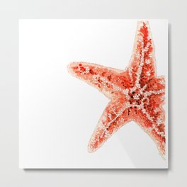 Coastal. Star Fish. Watercolor. Metal Print