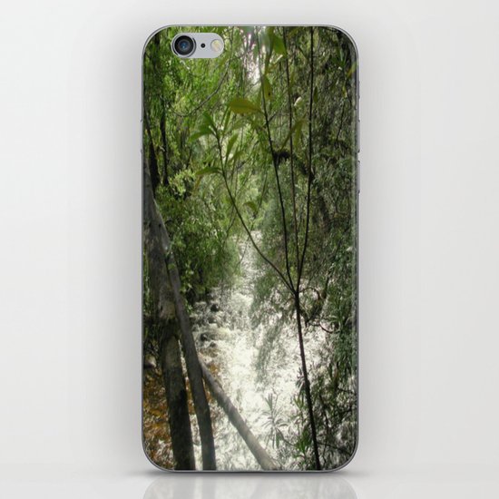 Gordon - Frankin Rivers iPhone & iPod Skin