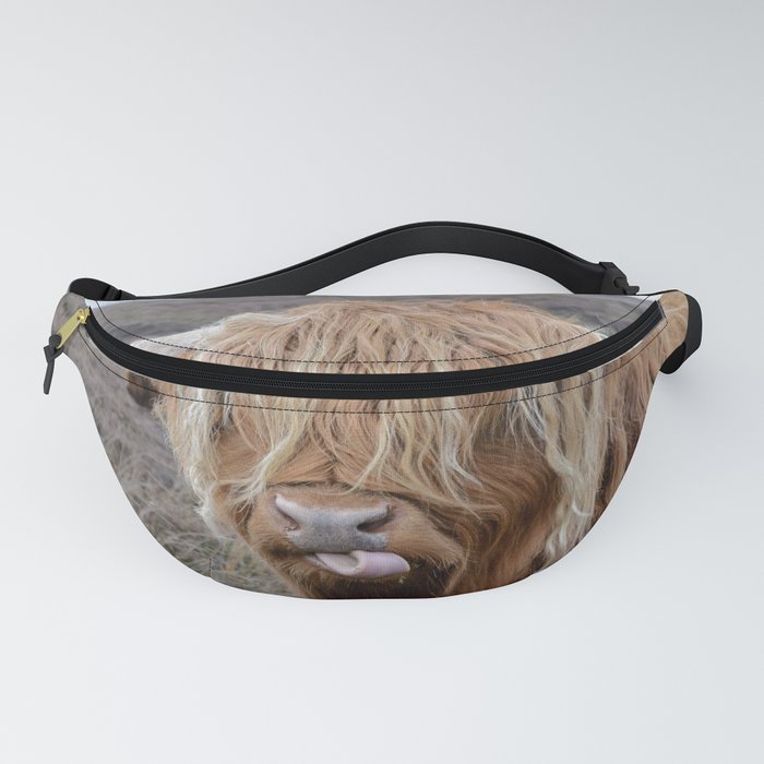 Scottish Highland Cow | Scottish Cattle | Cute Cow | Cute Cattle 05 Fanny Pack