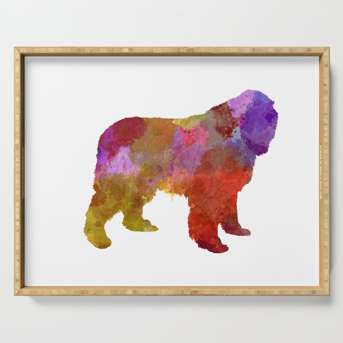 Newfoundland dog in watercolor Serving Tray