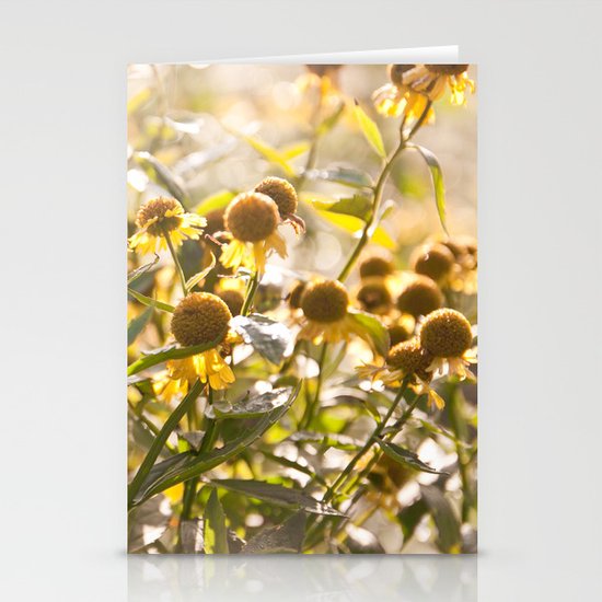 Flowers in Mt. Rogers, Virginia Stationery Cards
