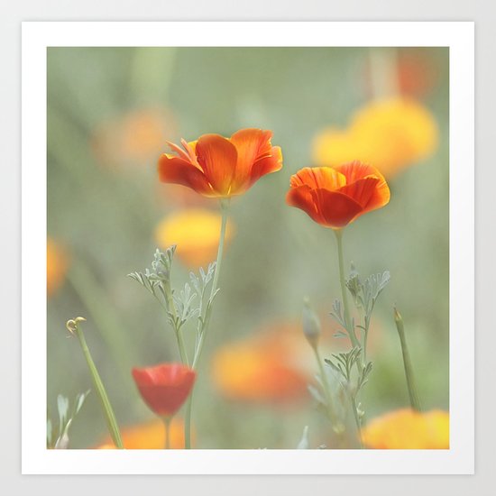 Vibrant Orange Art Print