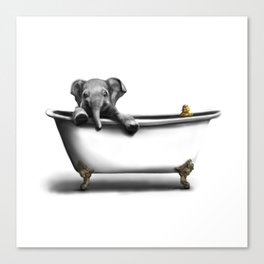Elephant in Bath Canvas Print