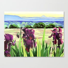Irises at Pedernal Canvas Print