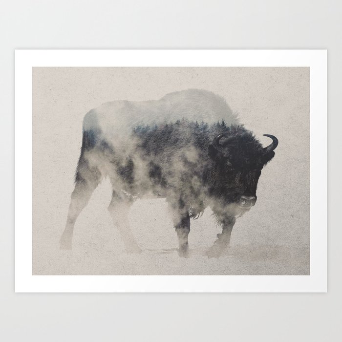 Bison In The Fog Art Print