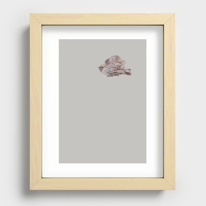 Oyster Recessed Framed Print