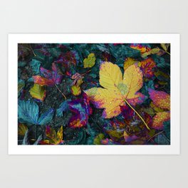 Colorful Autumn Leaves Art Print