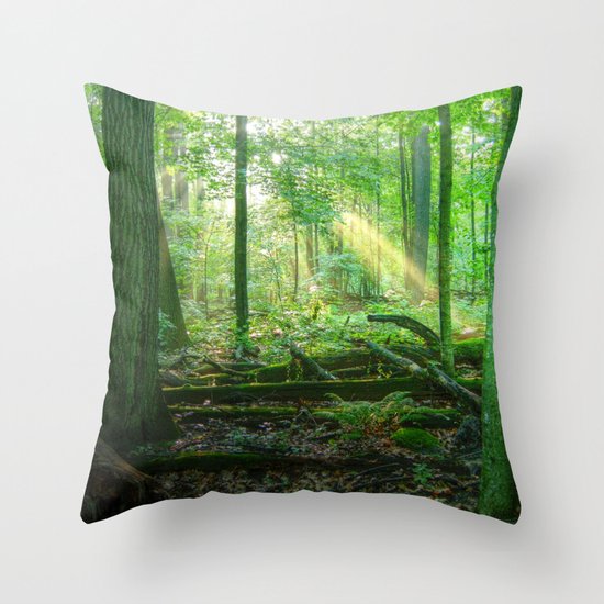 Devil's Lake State Park Throw Pillow