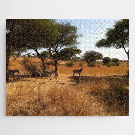 South Africa Photography - Zebras Under Acacia Trees  Jigsaw Puzzle