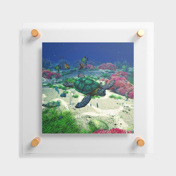 Sea Turtle Floating Acrylic Print