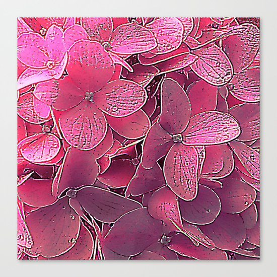 Magenta viburnum Canvas Print