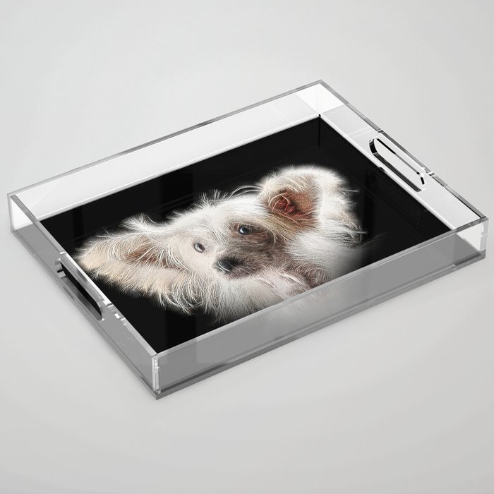 Spiked Chinese Crested Dog Acrylic Tray