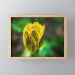 Natura Desenfokatua Framed Mini Art Print