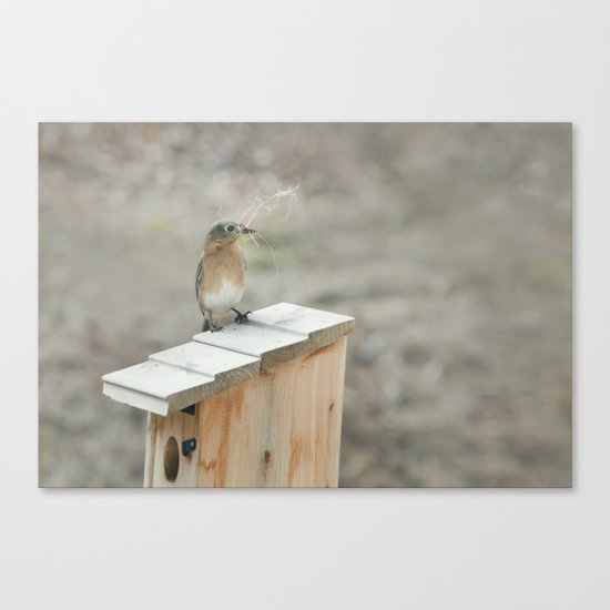 Build Your Nest Canvas Print