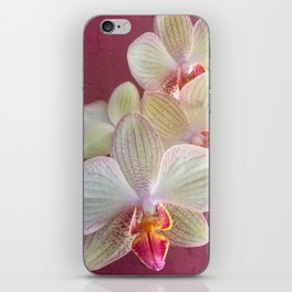 Pink Orchid iPhone Skin