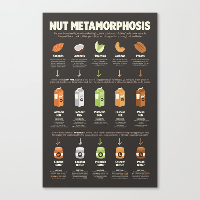 Nut Milks and Butters Infographic Poster Canvas Print