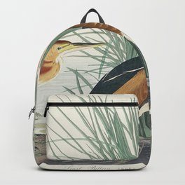 Least Bittern from Birds of America (1827) by John James Audubon etched by William Home Lizars Backpack